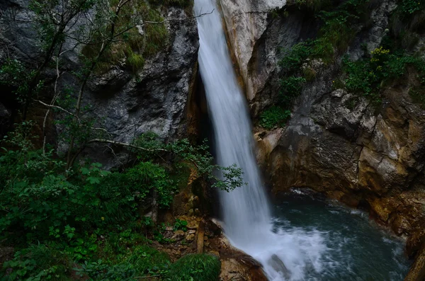 Küçük şelale — Stok fotoğraf