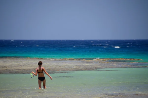 Woman in bikini during snorkelling at sea Stock Image