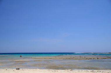 kum plaj resif deniz ile