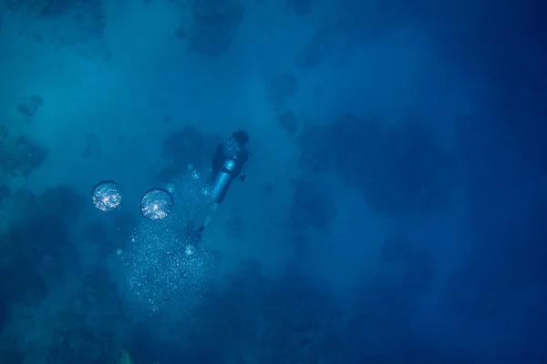 Mergulhador no egito faz bolhas — Fotografia de Stock