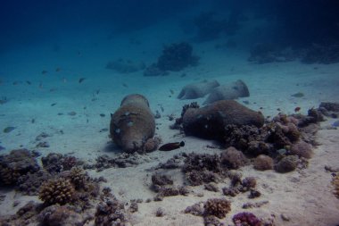Amphoras Denizi