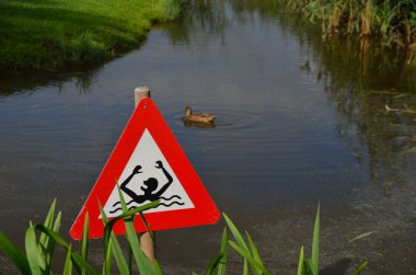 caution swimming with duck clipart