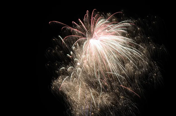 Delicate big fireworks — Stock Photo, Image