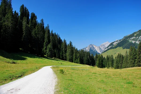 Sätt i berg landskap — Stockfoto