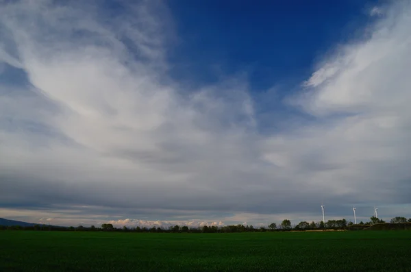 Grönt fält och himmel — Stockfoto
