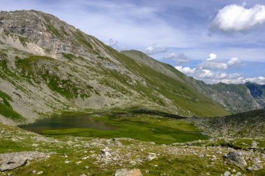 Avustralya 'nın kayalık dağlarında deniz yosunlarıyla muhteşem yeşil bir göl.