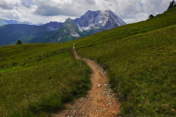 Piccolo Sentiero Pianeggiante Lungo Prato Verde Tra Montagne Dell Austria — Foto Stock