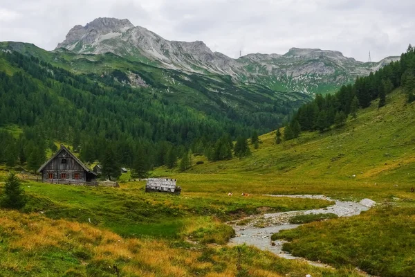 Szép Alpesi Kunyhók Egy Gyönyörű Zöld Hegyi Táj Egy Vad — Stock Fotó