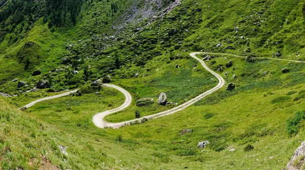 Wunderschöner Kurvenreicher Feldweg Zum Wandern Grüner Landschaft Mit Österreichischem Rundblick — Stockfoto