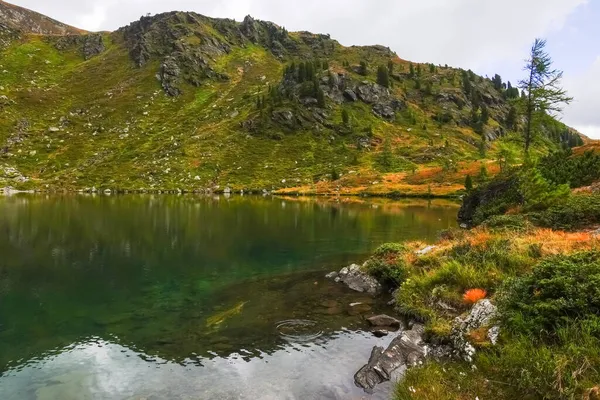 Kolorowe Rośliny Brzegu Jasnego Zimnego Jeziora Górskiego Lecie — Zdjęcie stockowe
