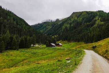 Yeşil dağlardaki ahşap dağ kulübelerine giden toprak yol