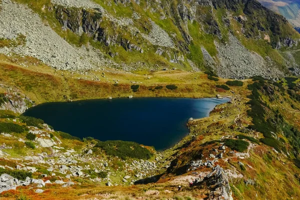 Lago Montagna Blu Intenso Una Riserva Naturale Colorata Nell Estate — Foto Stock