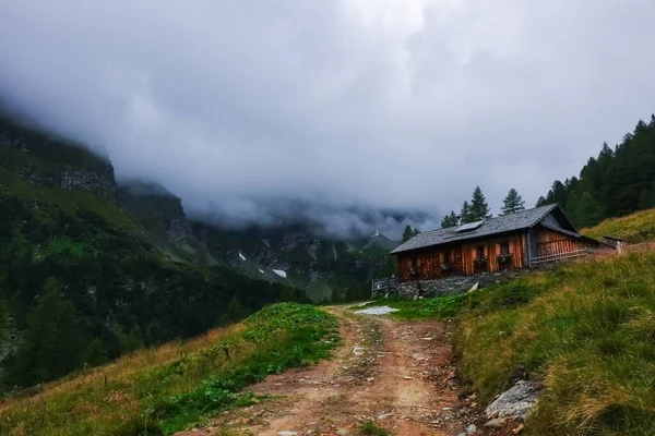 Onverharde Weg Naar Een Beboste Berghut Met Dichte Mist Aan — Stockfoto