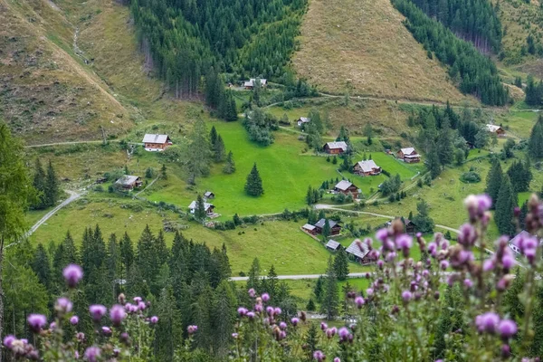 Sok Alpesi Kunyhók Egy Zöld Táj Orgona Virágok Előtérben Miközben — Stock Fotó