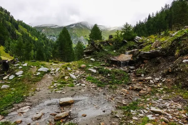 Маленький Водоспад Над Скелями Біля Пішохідної Стежки Горах Salzburg Austria — стокове фото