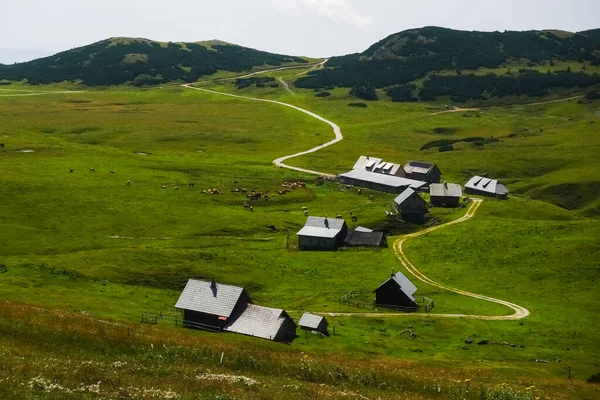 Vele Berghutten Met Zandwegen Koeien Een Groen Natuurlandschap Oostenrijk — Stockfoto