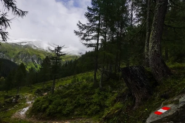 Marque Chemin Rouge Blanche Autriche Sur Rocher Dans Paysage Montagne — Photo