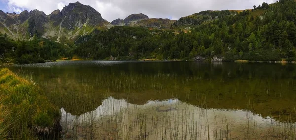 Pastos Marinos Agua Desde Lago Con Vista Una Cordillera Vista —  Fotos de Stock