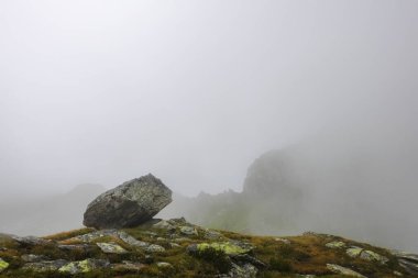 Yazın arka planında yoğun sis olan bir tepeden uzanan tek bir kaya.