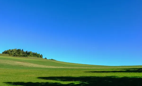 Amazing Green Hilly Landscape Meadow Shrubs Blue Sky Summer — Stock Photo, Image