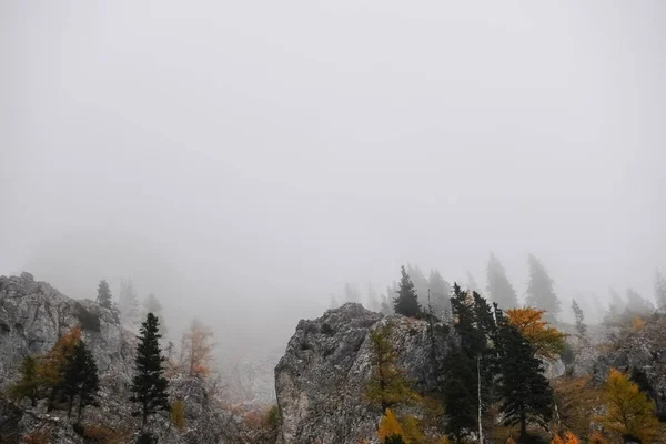 Árvores Coloridas Rochas Nas Montanhas Com Densa Névoa Outono — Fotografia de Stock