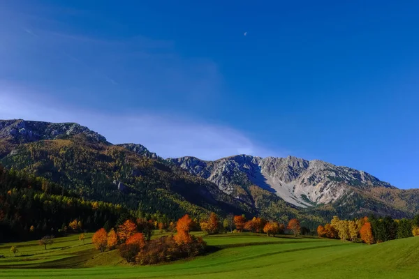 Incredible Colorful Trees Green Meadow While Hiking Snow Mountain Autumn — Stock Photo, Image