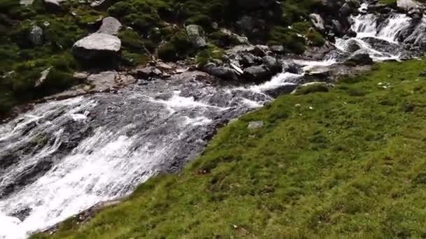 Increíble Paisaje Natural Con Arroyo Frío Claro Con Una Cascada — Vídeos de Stock