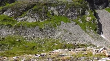 Yazın yürüyüş yaparken yüksek bir dağın tepesindeki iki muhteşem dağ.