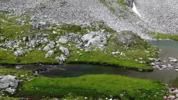 Tiszta Hegyi Túrázás Közben Egy Hegyen Nyáron Ausztriában — Stock videók