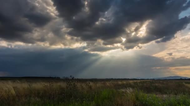 Timelapse Many Shrubs Beautiful Sunrays Colorful Clouds Summer — Stock Video