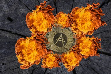 Bir ağaç gövdesinde Cardano parasından tek bir altın ada sikkesi.