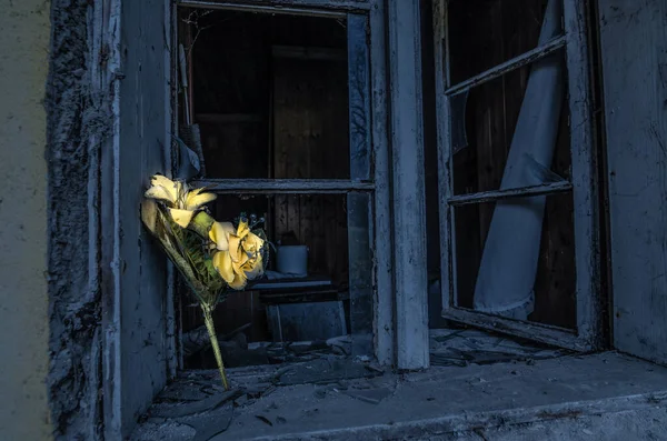 Świecąca Plastikowa Róża Stojąca Parapecie Opuszczonego Domu — Zdjęcie stockowe