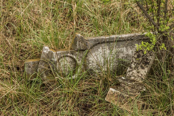 Old Gravestone Abandoned Cemetry Nature — Stock Photo, Image