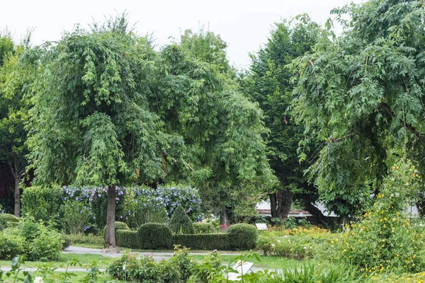 amazing green garden from a old castle in austria