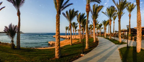Csodálatos Strand Füves Pálmafákkal Egy Utat Sétálni Naplementébe Nyaralás Egyiptomi — Stock Fotó