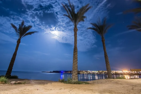 沙滩上有云彩 夜间有棕榈树 夜间有埃及 — 图库照片