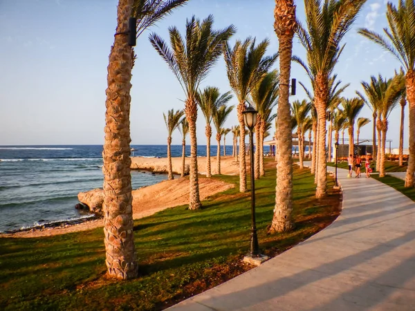 Erstaunlicher Strand Mit Graspalmen Und Einem Pfad Urlaub Ägypten Den — Stockfoto