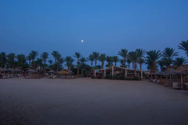 Heller Mond Himmel Während Strand Mit Palmen Ägypten Steht — Stockfoto