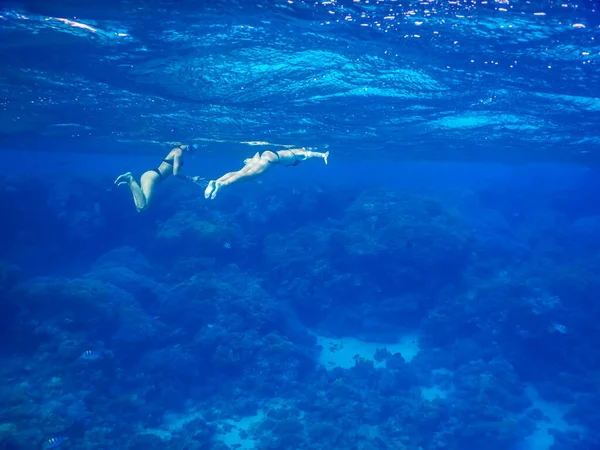 two young girls in black bikini swimming and snorkeling in clear blue sea water in egypt