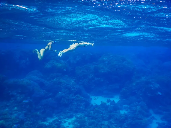 Två Unga Flickor Svart Bikini Simning Och Snorkling Klarblått Havsvatten Stockbild
