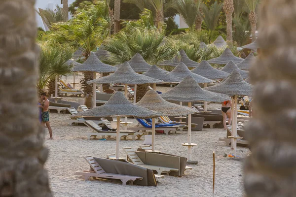Palmiye Ağaçlarının Arasından Deniz Kenarındaki Birçok Plaj Şemsiyesine — Stok fotoğraf
