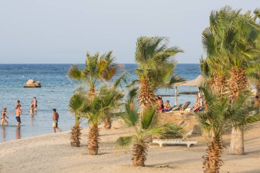 Mısır 'da deniz kıyısındaki kumlu sahilde bir sürü palmiye ağacı ve insan var.