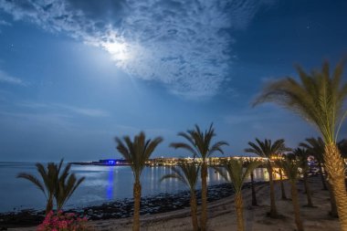 Kumlu bir sahilde palmiye ağaçları ve Mısır 'da tatilde bir tatil beldesinde bir sürü ışık.