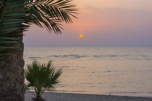 在温暖的日出时带着橙色的阳光在海滩上的棕榈树 — 图库照片