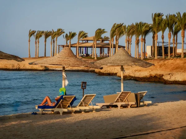 Tumbonas Atardecer Con Palmeras Mar Rojo Egipto —  Fotos de Stock