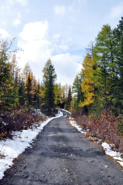 Autumn road — Stock Photo, Image