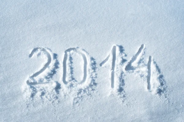 2014 写在雪中 — 图库照片