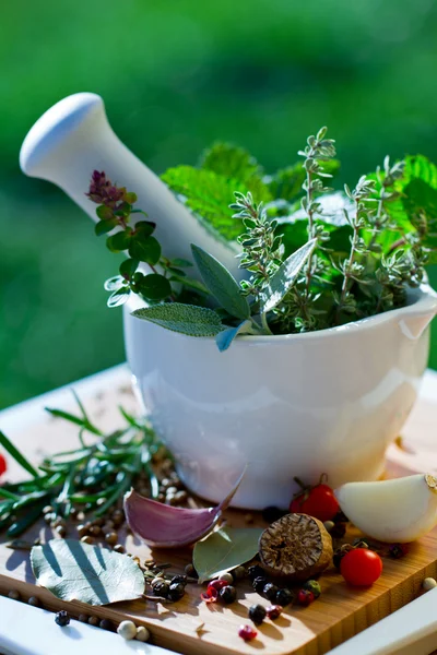 Fresh herbs in the mortar — Stock Photo, Image