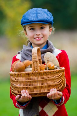 toplama mantar, mantar sezonu.