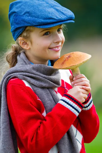 Mushrooms picking, season for mushrooms. — Stock Photo, Image